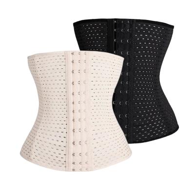 China Trainer Adjustable Back Lumbar Back Waist Traction Waist Support Lower Abdominal Belt for sale