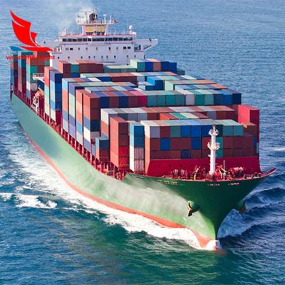 China DDP ddu shipping to Rotterdam United Arab Emirates from china Saudi Arabia express delivery for sale