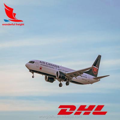 China DHL International Shipping Rate from China Delivery to Qatar Express Delivery for sale