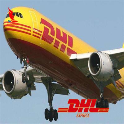 China DHL International Shipping Rate DHL Shipping Rate Algeria Express Delivery for sale