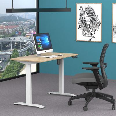 China (Height)Adjustable Ergonomic Professional Electric Lift Desk Raising Stand Adjustable Height Desk Desk for sale