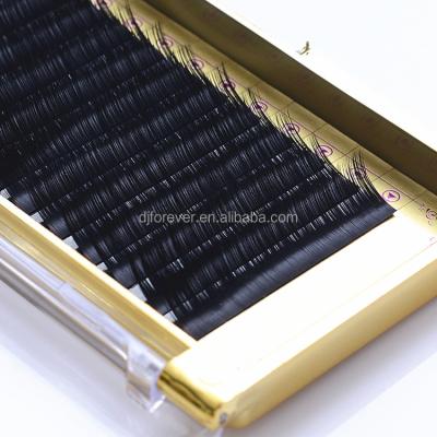 China 0.2mm Waterproof Individual Eyelash Extension Whips Flat Hollow Eyelash Extension for sale