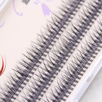 China Different Delicate Premium Eyelash Extension Flower Grafted Lashes for sale