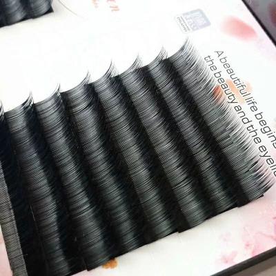 China Easy Blooming Eyelash Extension 0.03 Sensitive Plant 0.05 0.07 Auto Fan Lashes for sale