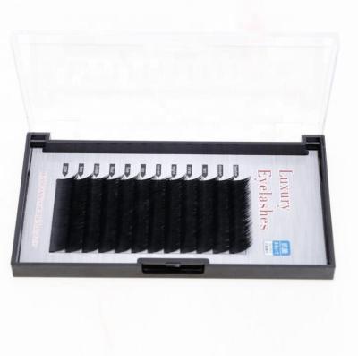 China Laser Thick Flat Wick Private Label Eyelash Extension OEM Factory Individual Eyelash Extensions Tray for sale