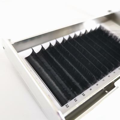 China Factory Wholesale Thick False Eyelashes For Beauty Shop Easy Fanning Volume Eyelash Extensions for sale