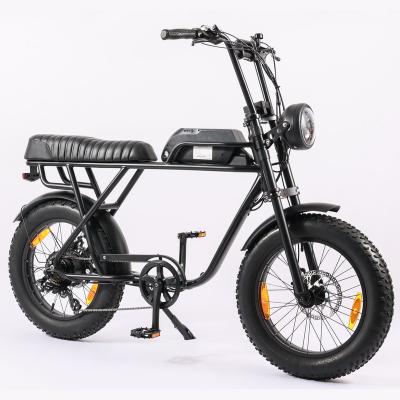 China Standard All Bicycle 250W , Electric Bike Vintage Factory Terrain Supply for sale