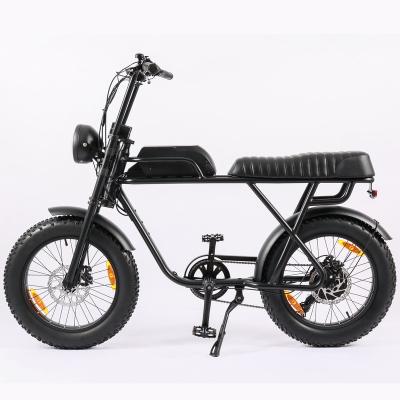 China Standard All Bicycle 250W , Electric Bike Vintage Factory Terrain Supply for sale