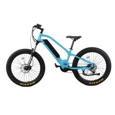 China OEM Standard Fat Tire E Bike 2020 Customized 26 Inch Mountain Bicycle Mid Drive E Bike Ebike 1000w/Aluminimun Alloy Electric Frame for sale