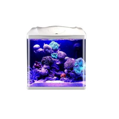 China High performance viable fish tank plastic aquarium without the risk of small for sale