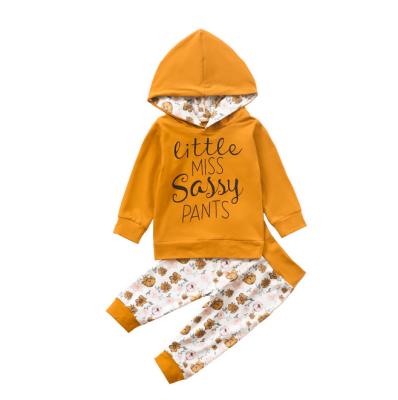 China Antibacterial Toddler Baby Boy Infant Clothes Long Sleeve Pocket Hoodie Tops Sweatsuit Pants Gear Set for sale