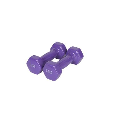 China Durable Non-slip Grip Durable Neoprene Dumbbell Women's Plastic Health Dip In Dumbbell for sale