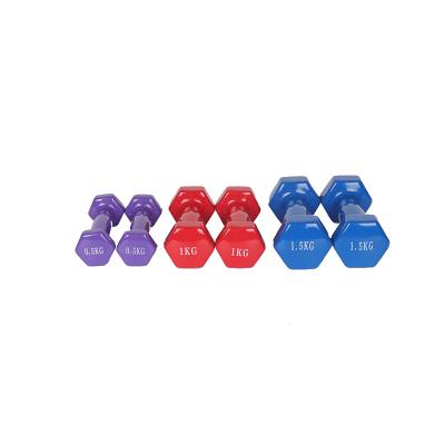 China Durable China Factory Selling 6 Kg PVC Blue Round Vinyl Coated Dumbbell Home Dumbbell Kit for sale