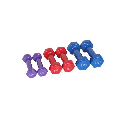 China Premium Durable Fixed Dumbbell Manufacturer Wholesale High Quality Vinyl Women Dumbbells for sale