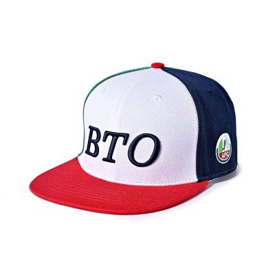 China OEM van het het Borduurwerkembleem van Hip Hop Vlakke Bill Gorras Snapback Hats Custom ODM Te koop