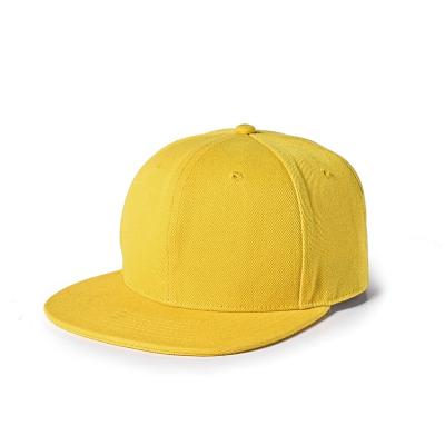 China Borduurwerkdruk Logo New Era Snapback Caps 54cm voor Jonge geitjes Te koop