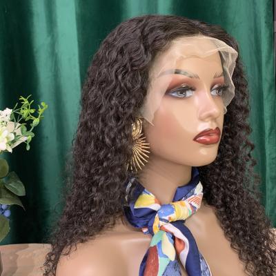 China Free Shipping Barely Shedding Thick Smooth Soft Destiny 180 Lace Front Kinky Curly Wig, 100% Hdl Curly Curly Virgin Hair Transparent Lace Front Wig for sale