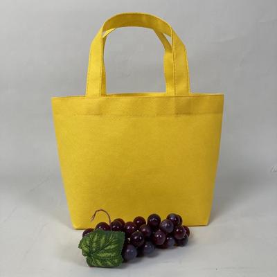 China Non Woven Reusable Non Woven Insulated Nonwoven Rope or Handle Shopping Bag Cooler Bag Zipper Small Bag for sale