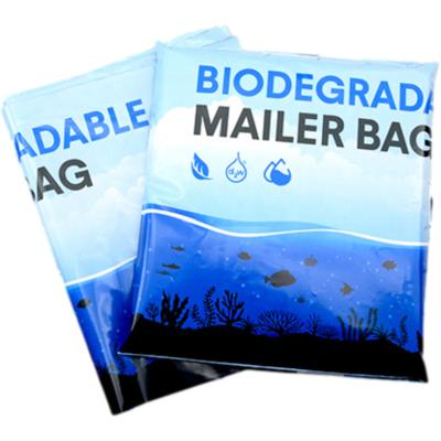 China Strong Adhesive Custom Logo Shipping Biodegradable Eco Tote Mailer Bag Opaque Messenger Poly Bag 10*13inch for sale