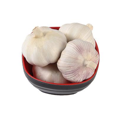 China GLOBAL Wholesale GAP Garlic Small Pack 250g 500g Fresh Normal White Top Grade Fresh Garlic Net Bag for sale