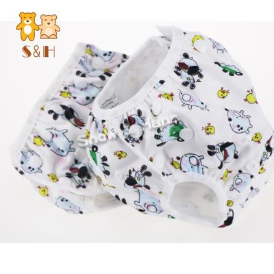 China Baby Swimmer Colorful Washable Waterproof Reusable Swimming Diaper for sale