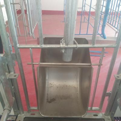 China Eco-friendly Stainless Steel Piglet Custom 304 Free Feeder Though for sale