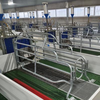 China Livestock farm sow high quality pig farrowing crate for pig cage for sale