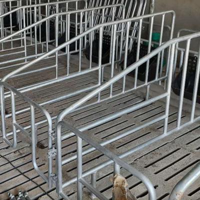 China Livestock Farming Galvanize Farrowing Crate Pen Pig Farming Pig Gestation Equipment for sale