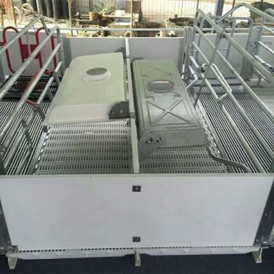 China Livestock Operation Pig Farm Equipment Galvanized Pig Farrowing Crate for sale