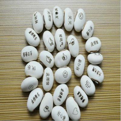 China Europe white magic beans with wishes for sale