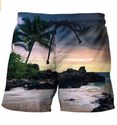 China Wholesale Cheap QUICK DRY Polyester Men Women Waterproof Sublimation Printing 100% UV Panel Shorts Beach Swimming Hawaiian Shorts for sale