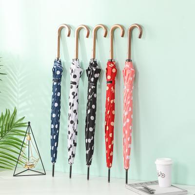 China Stylish Polka Dot Automatic Straight Umbrella High Quality Minimalist Anti-wind Women With Curved Wooden Handle for sale