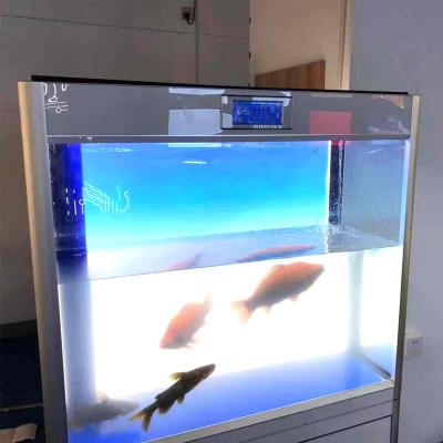 China Indoor& 2021 Outdoor Advertising LED Mollusk Lighting For Fish Tank 600*450mm for sale