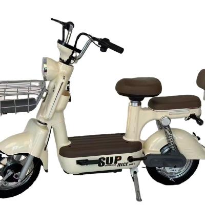 China Steel 2024 Long Distance mid motor electric bike bicycle with long range for sale