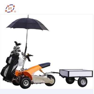 China Four Star Personal Steel Golf Cart Club Car Black For Sale for sale