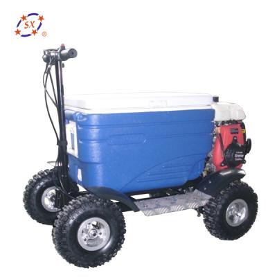 China Off Road Four Star Gas Riding Cooler Motorized Scooter for sale