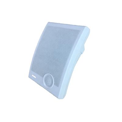 China Outdoor Professional Outdoor Indoor In Wall Box Passive Audio Speaker for sale