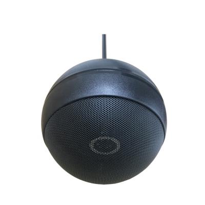 China Passive Indoor Decoration 10W Pro Audio Speaker Box Speaker for sale