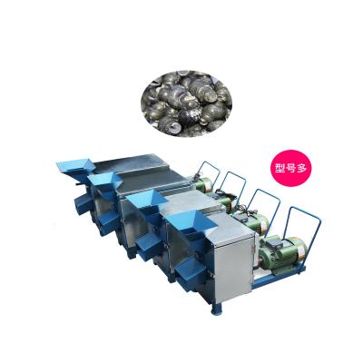 China Snail Tail Cutter and Snail Tail Cutter Wash Developing Machine | Snail Shelling Machine | river snail tail cutting machine for sale