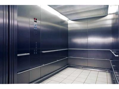 China Storehouse Double Door Elevator / Machine Room Goods Elevator for sale