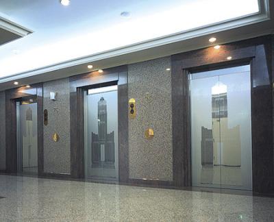 China MEL Passenger Machine Room Less Elevator / Roomless Elevator for sale