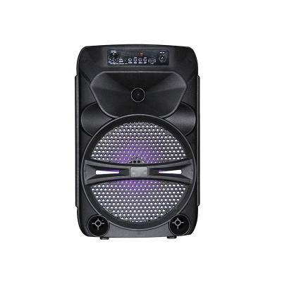 China 8 Inch Wireless Waterproof Party Speaker Rechargeable LED Portable Speakers For Party for sale