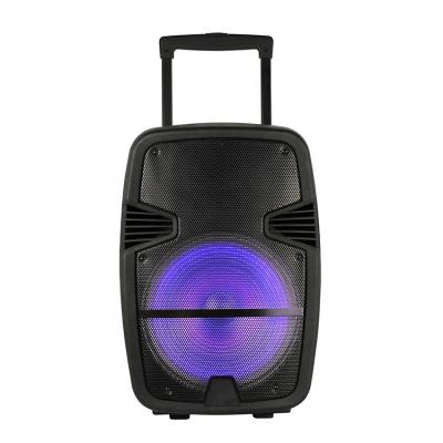 China EZCast BT Rechargeable Portable 12 Inch Trolley Speaker Audio For Player Karaoke for sale