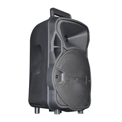 China No BT Trolley Audio Speaker With LED FM TD USB Loudspeaker 8 Inch for sale