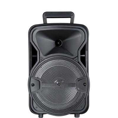 China OEM BT Karaoke Trolley Audio Speaker Wireless 8 Inch Trolley Speaker for sale