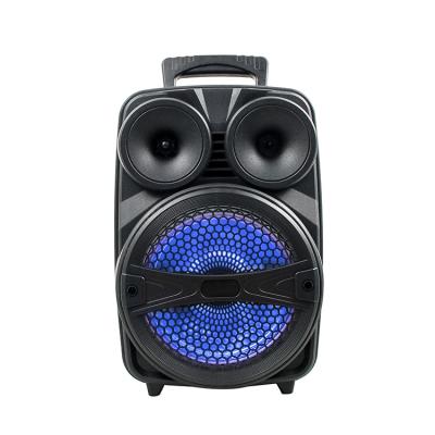 China No Eagle USB Audio Hot Selling 8 Inch Colorful Lightweight Surround Speaker for sale