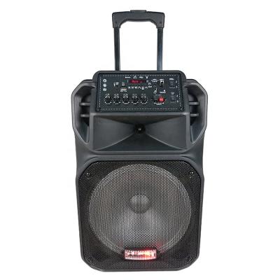 China New Eagle Audio 2019 Wireless Trolley 12inch Speaker 40W Karaoke Speaker Portable Wireless Speaker for sale