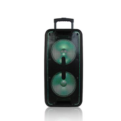 China None Dual 10 Inch Rechargeable Battery Woofer Speaker With FM USB TF BT for sale