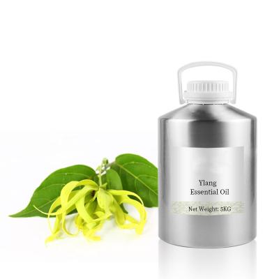 China Skin Revitalizer RONIKI Factory Supplier Grade Cosmetic Bulk Ylang Essential Oil Ylang Essential Oil for sale