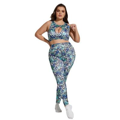 China AliExpress Breathable Hot Selling Sexy Fitness Leopard Print High Waisted Printed Yoga Two Piece Set Set Plus Size for sale